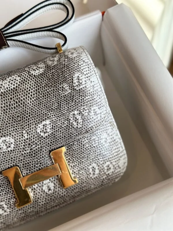 Hermès Constance 19 Omber Lizard Leather Palladium Hardware Bag product view 2