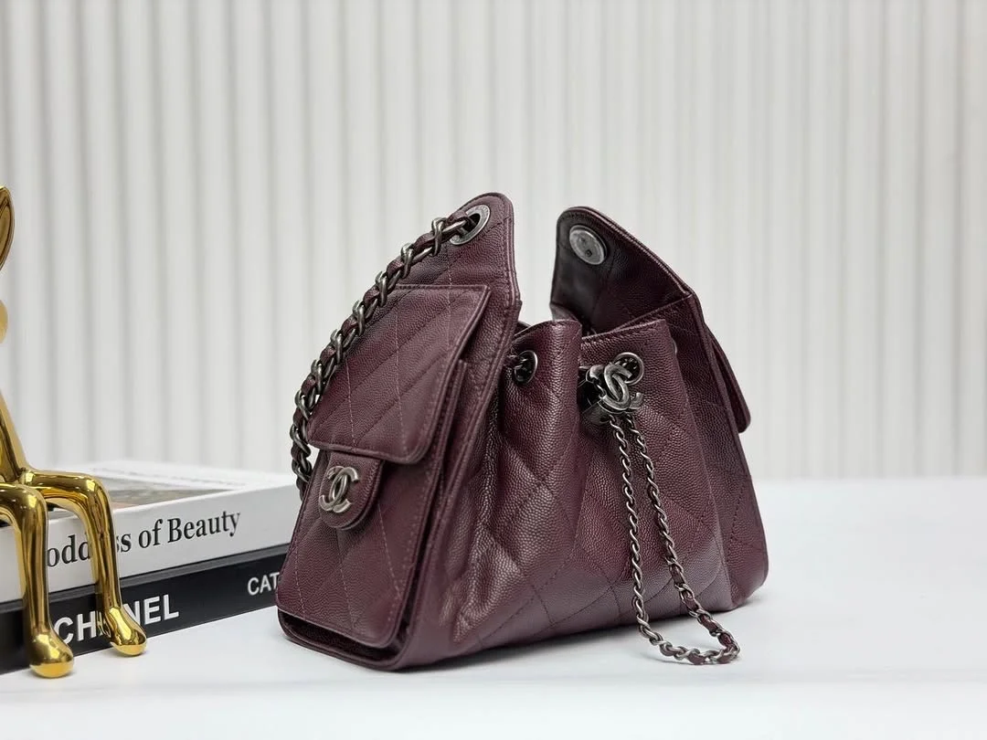 Chanel 25 Mini Burgundy Silver Hardware Bag product view 5