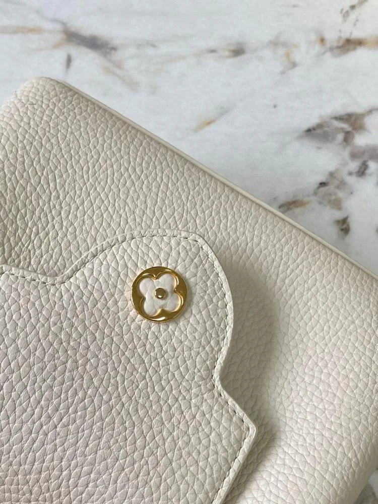 Louis Vuitton Capucines Beige Louis Vuitton Pattern Purple 21 cm Bag product view 5