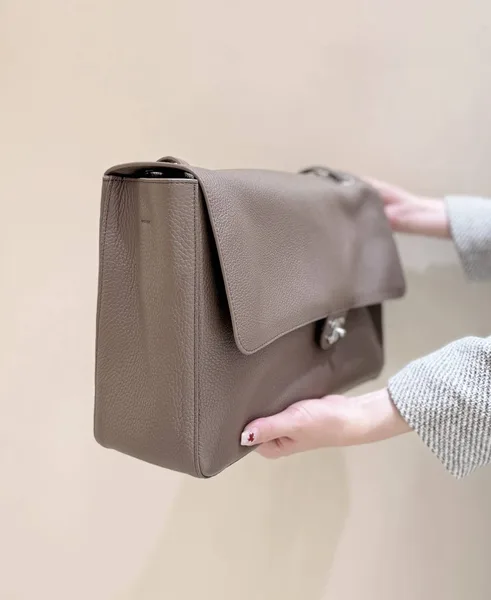Chanel Maxi Flap bag in Taupe Grained Calfskin SS26 Collection product view 2