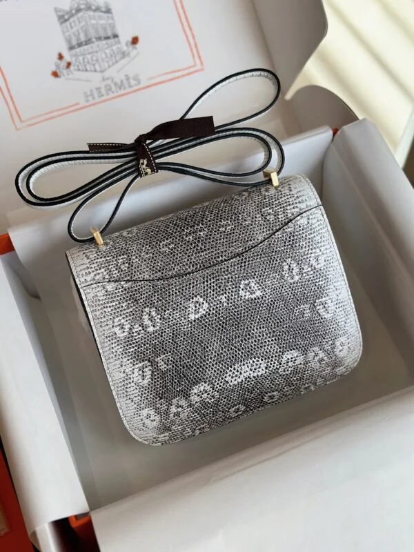 Hermès Constance 19 Omber Lizard Leather Palladium Hardware Bag product view 3