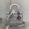 Dior metallic silver Cannage lambskin Bag product view 1