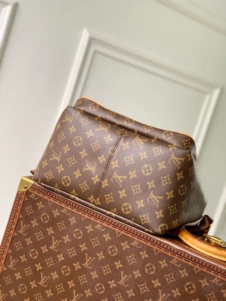 Louis Vuitton Discovery Cargo Backpack in Monogram canvas product view 2