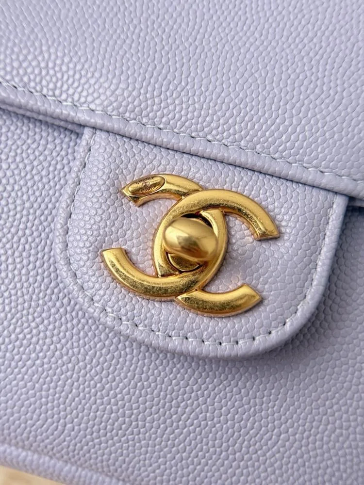 Chanel Small Preppy Coco Flap Bag in Purple product view 8