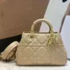 Dior Lady Woman’s Handbags Beige Smooth Leather 24x18cm product view 1