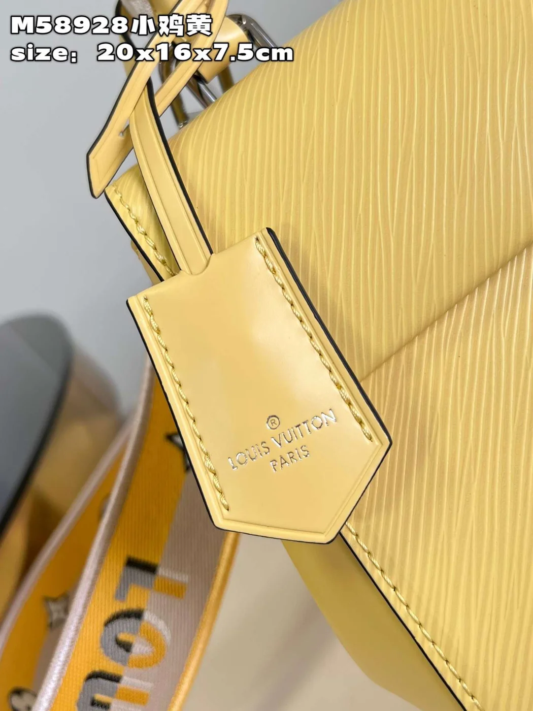 Louis Vuitton Clunny Yellow Raised Pattern 20x16cm Bag product view 5