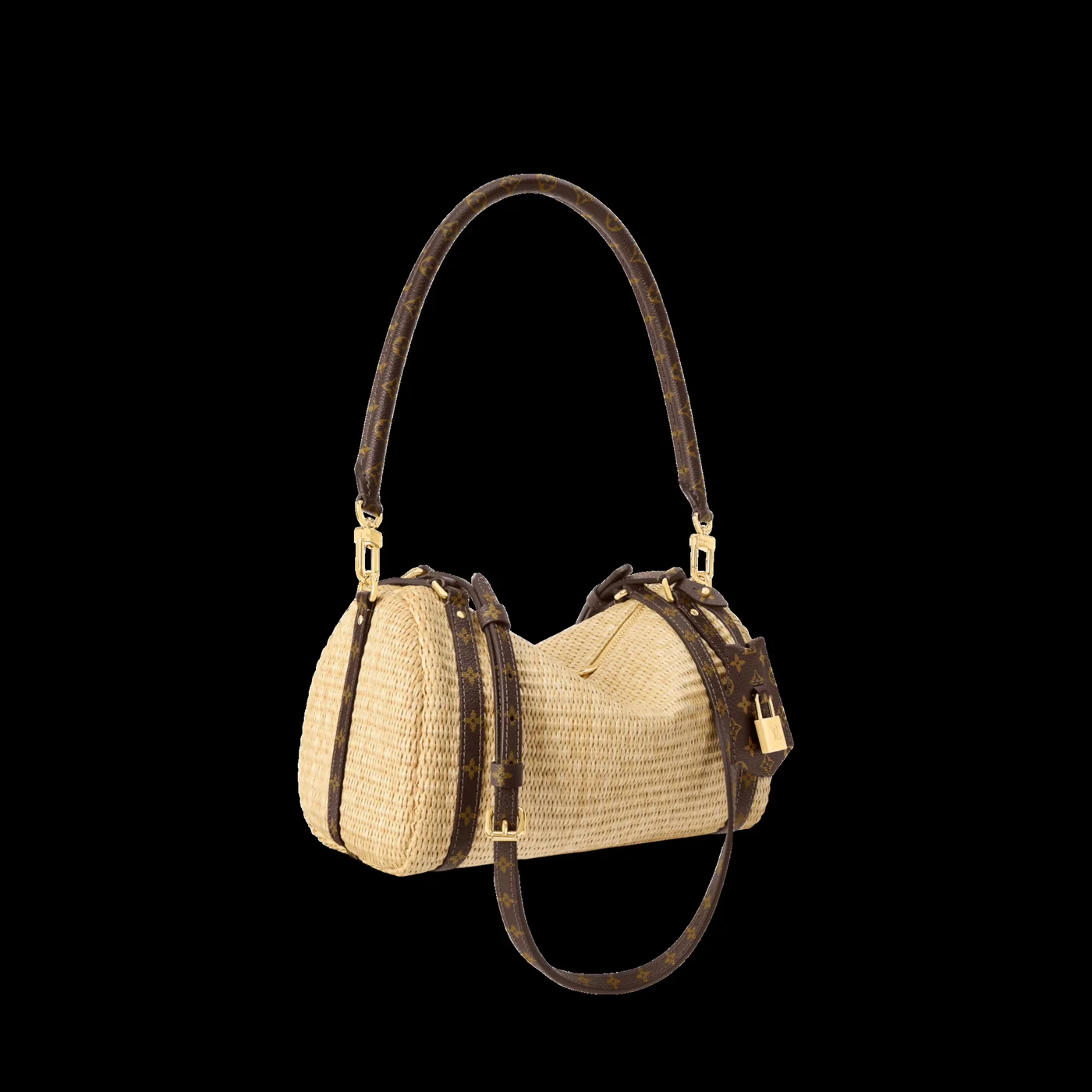 Louis Vuitton Express PM Bag product view 4