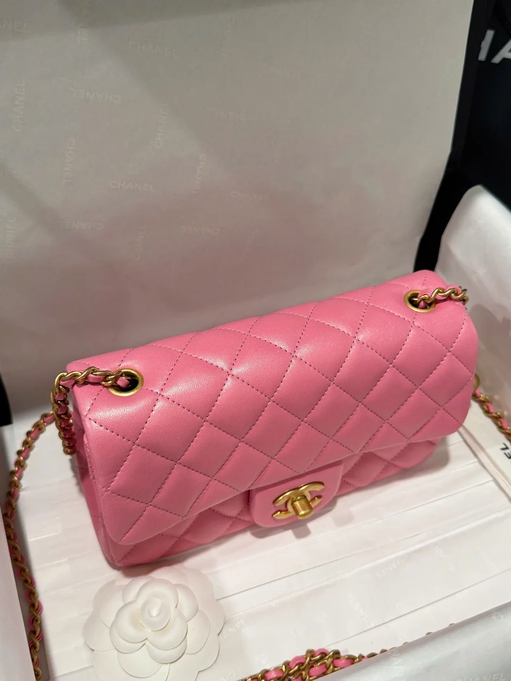 Chanel Classic Bell Bag Handbags Bink Lock Gold Smooth Leather 20 cm product view 6