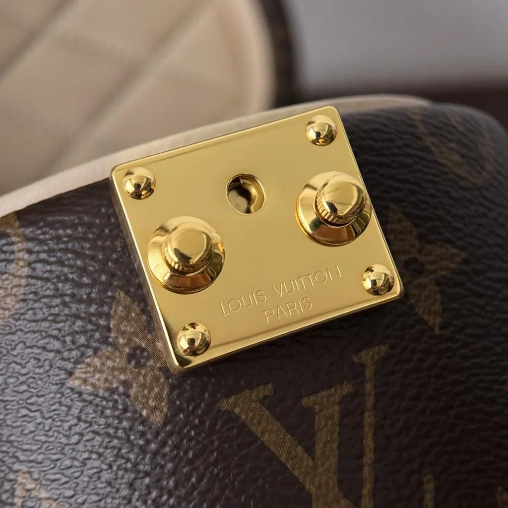 Louis Vuitton Scott M46933 Bag product view 6