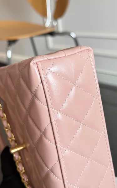 Chanel Kelly Bag 19 In Light Pink Calfskin Gold Hardware product view 5