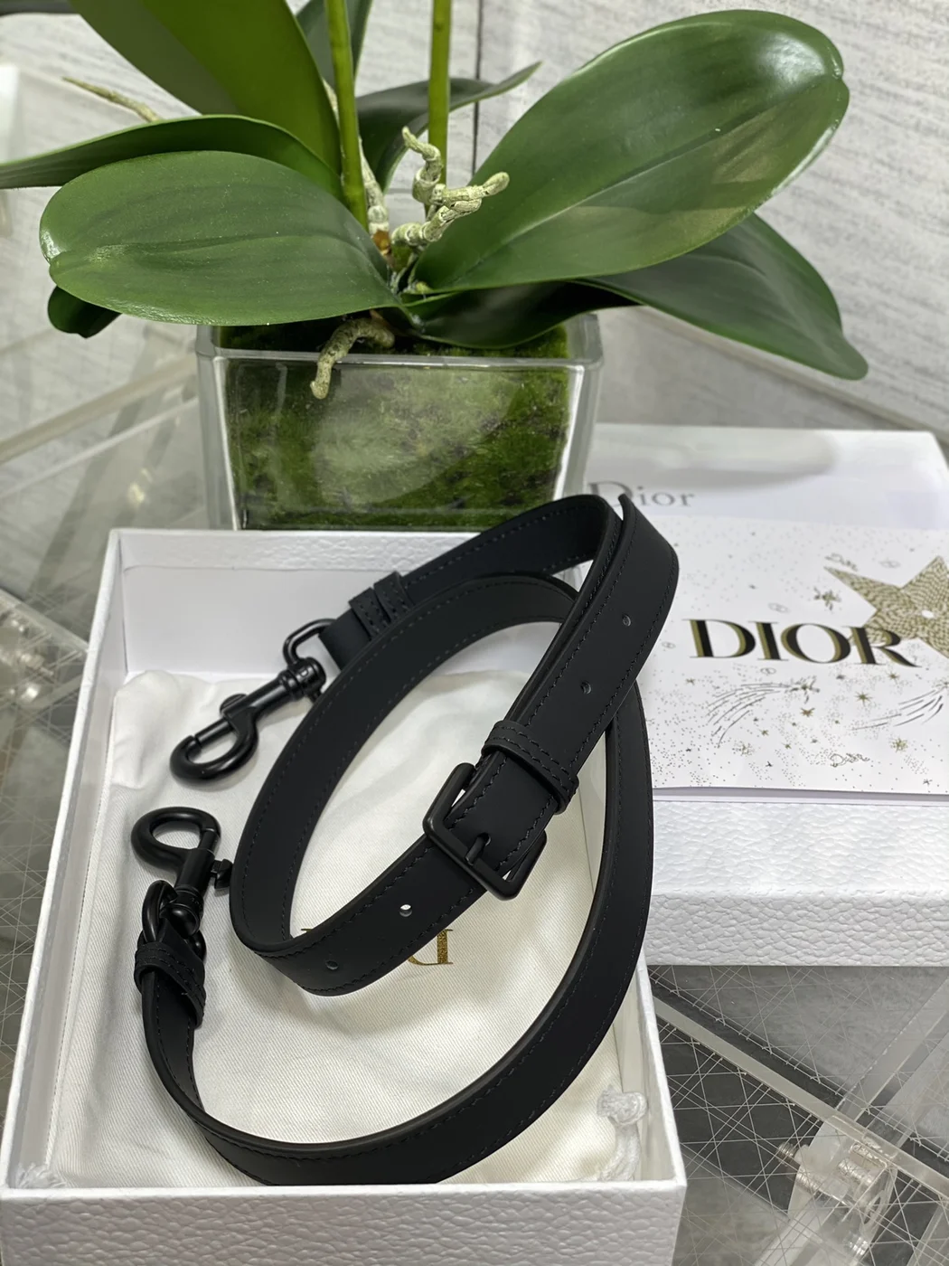 Dior Saddle Bag in Black with Black Hardware product view 8