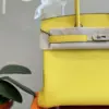 Hermès Birkin 30 Amber Yellow Palladium Hardware Bag product view 2
