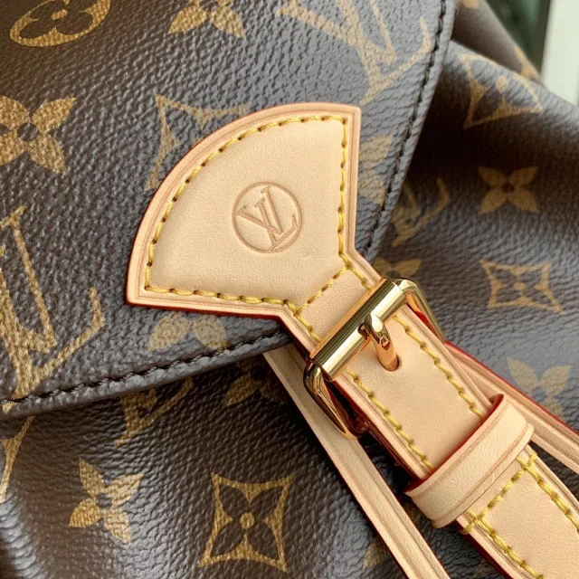 Louis Vuitton Montsouris PM backpack in Monogram coated canvas product view 5