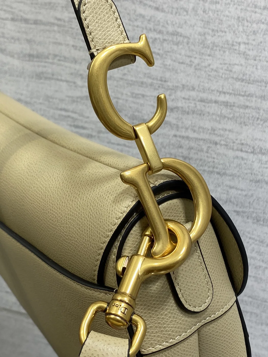 Dior Saddle Bag in Beige Gold Hardware product view 5