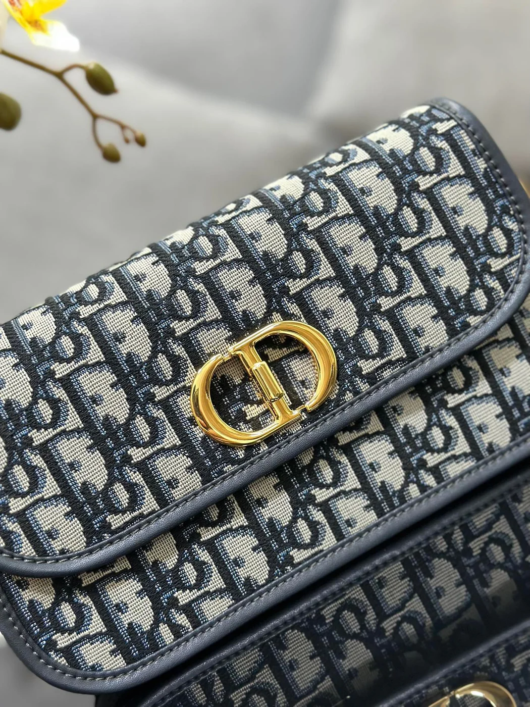 Dior 30 Montaigne Avenue Monogram Bag 22.5x12cm product view 2