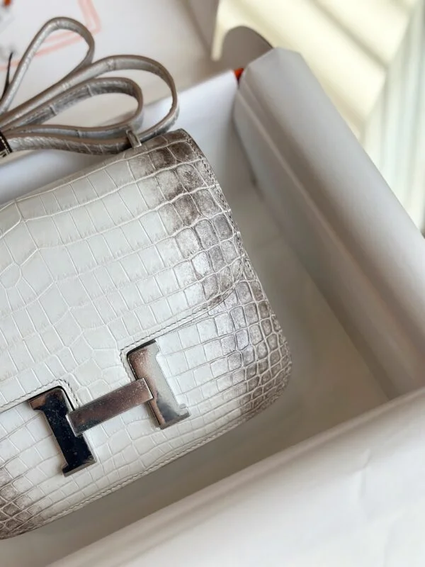 Hermès Constance 19 Himalaya Crocodile Leather Palladium Hardware Bag product view 6