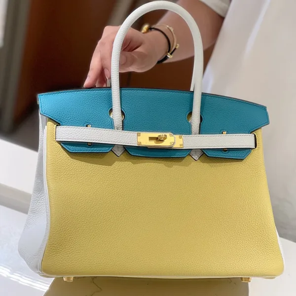Hermès Lime, Bleu de Galice and Gris Perle Chèvre Tri-Color Hss Birkin 25 Brushed Gold Hardware Bag product view 1