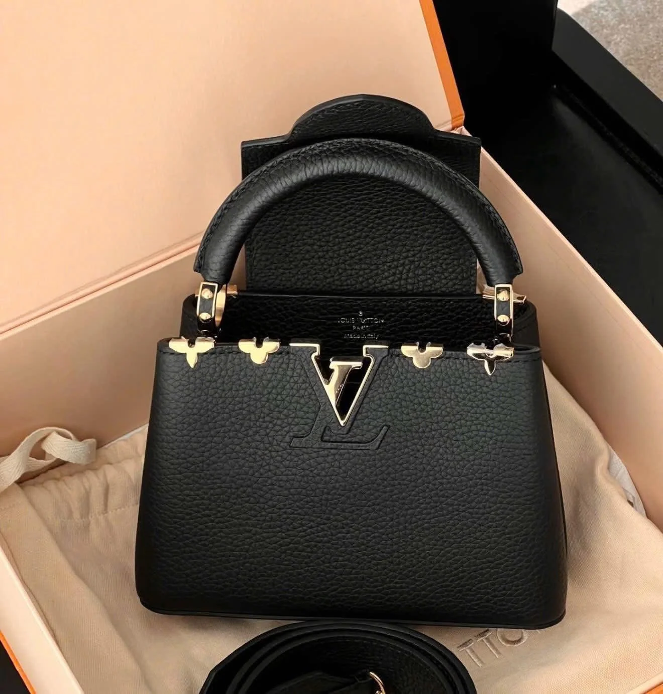 Louis Vuitton Capucines Mini handbag product view 1