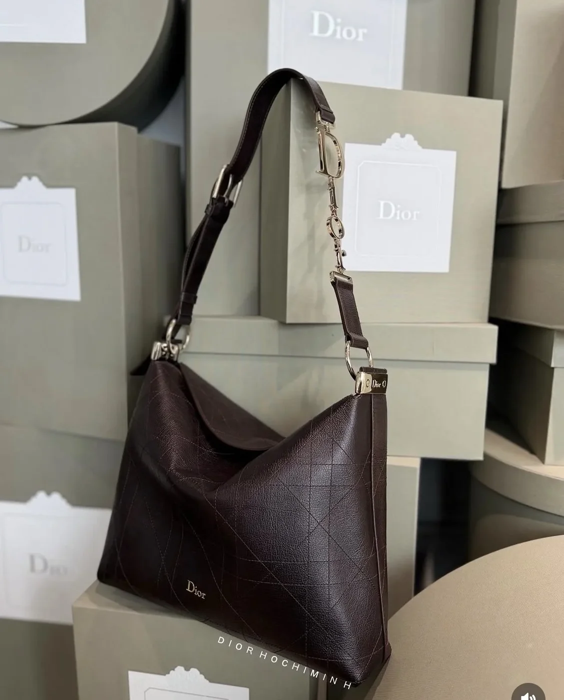 Diorly Bag in Brown product view 2