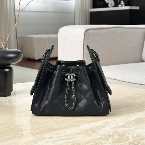 Chanel 25 Bag Mini Black with Silver Hardware product view 1