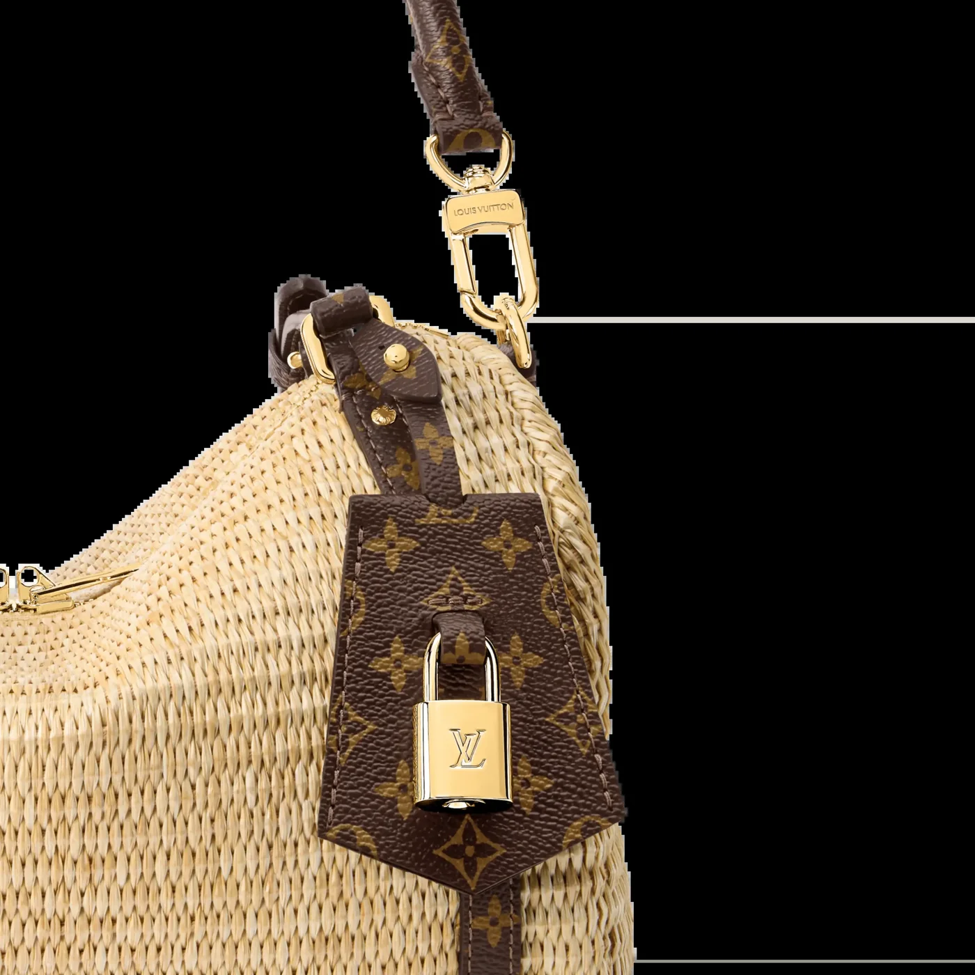 Louis Vuitton Express PM Bag product view 6