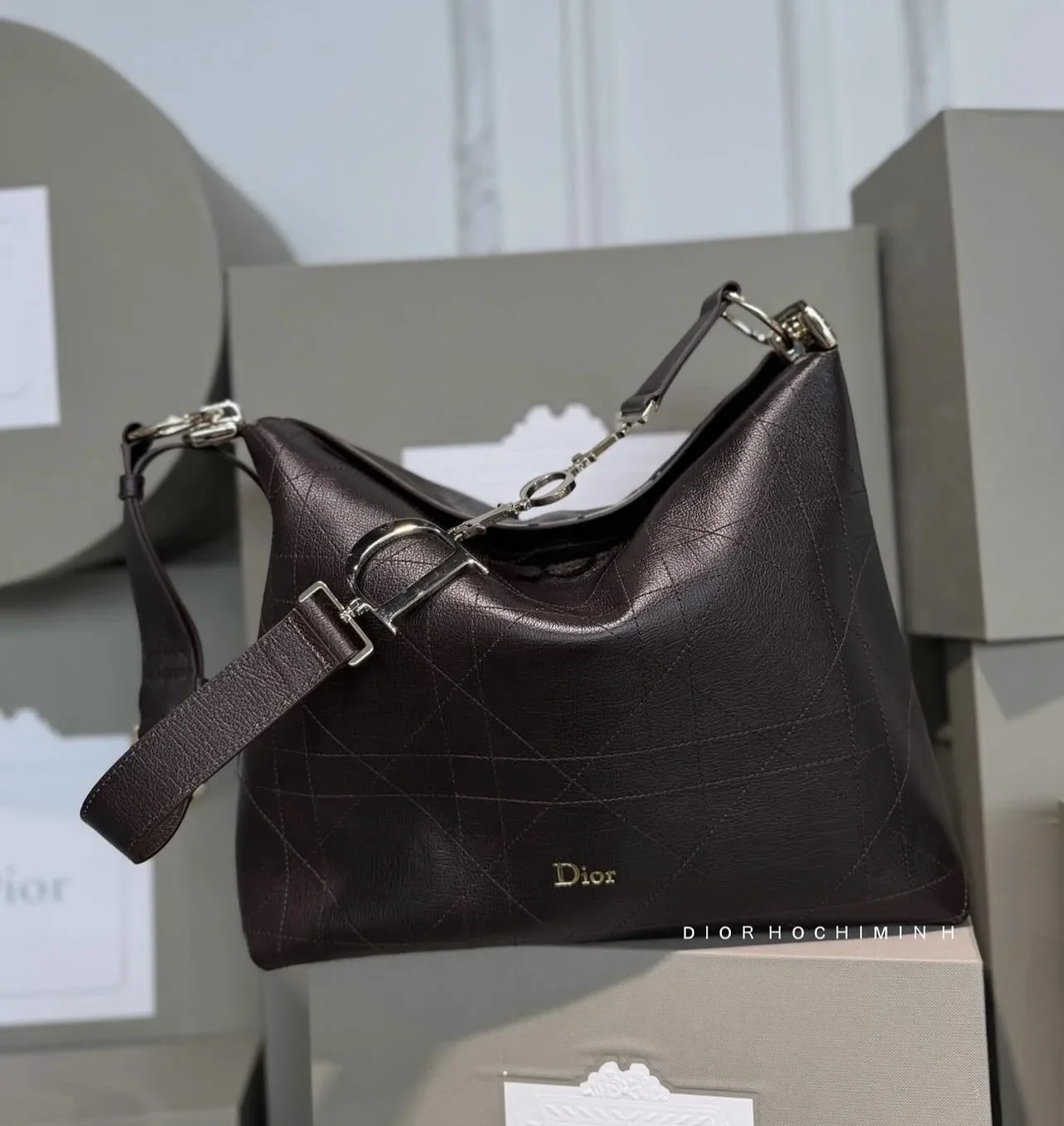 Diorly Bag in Brown product view 3
