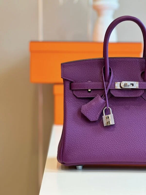 Hermès Birkin 25 Dark Purple Togo Leather Palladium Hardware Bag product view 4