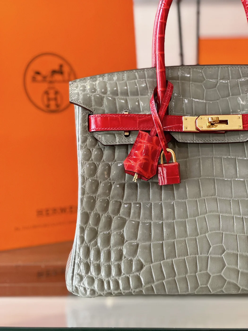 Hermès Birkin Crocodile Leather Gray and Red Custom Made Bag product view 5
