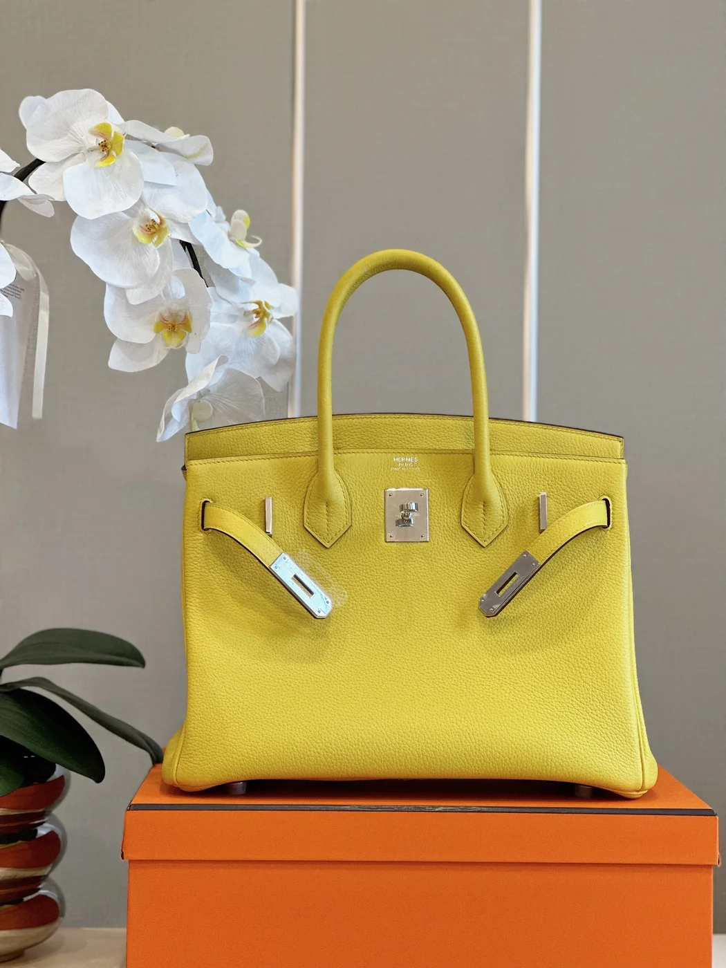 Hermès Birkin 30 Amber Yellow Palladium Hardware Bag product view 8
