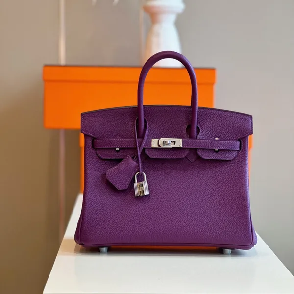 Hermès Birkin 25 Dark Purple Togo Leather Palladium Hardware Bag product view 1