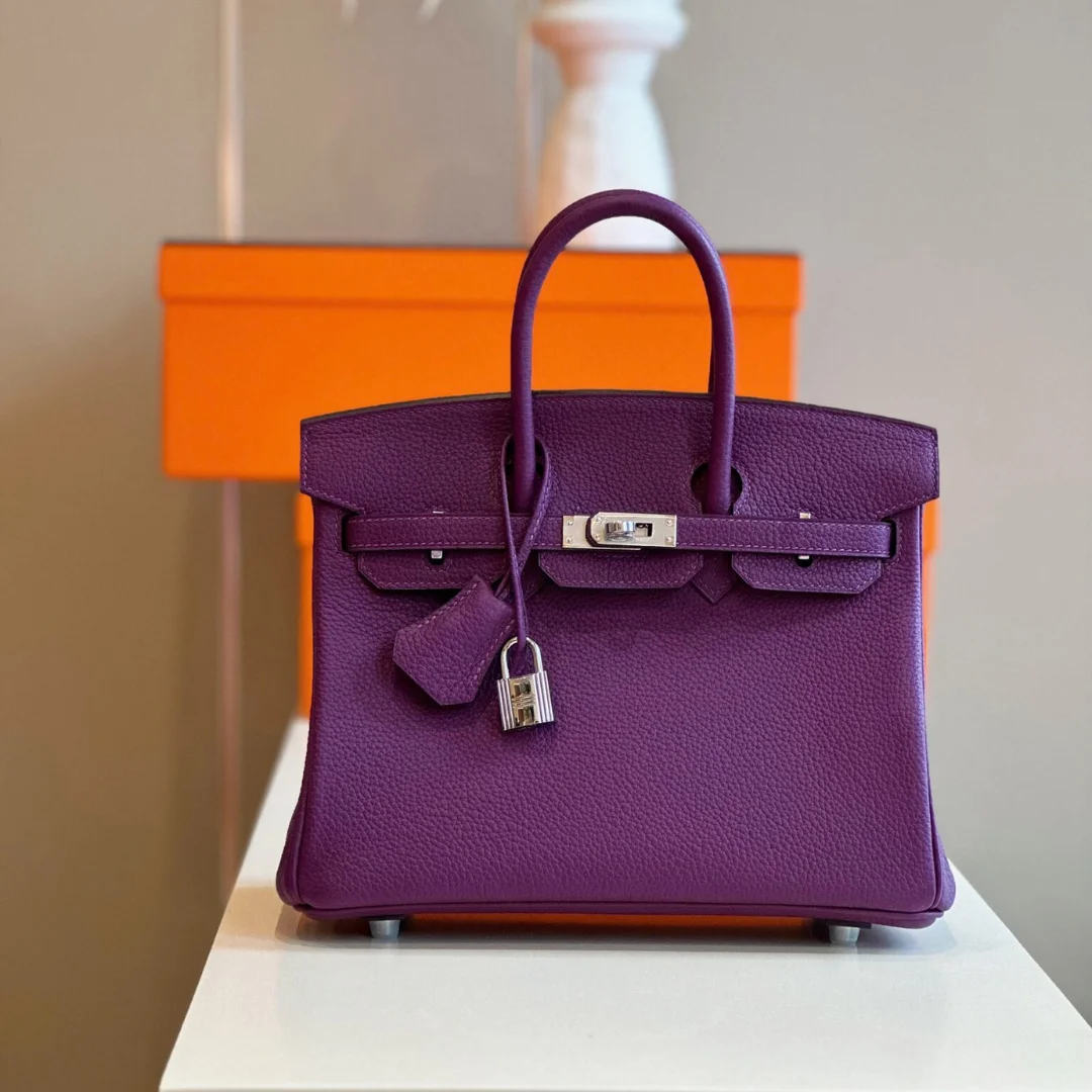 Hermès Birkin 25 Dark Purple Togo Leather Palladium Hardware Bag product view 1