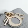 Dior J-joy Medium Grey Bag product view 7