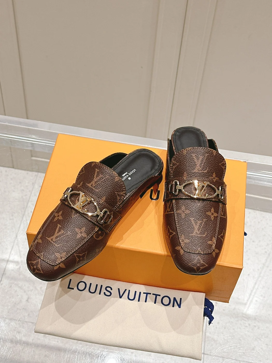 Louis Vuitton Women Brown Leather Mules product view 2