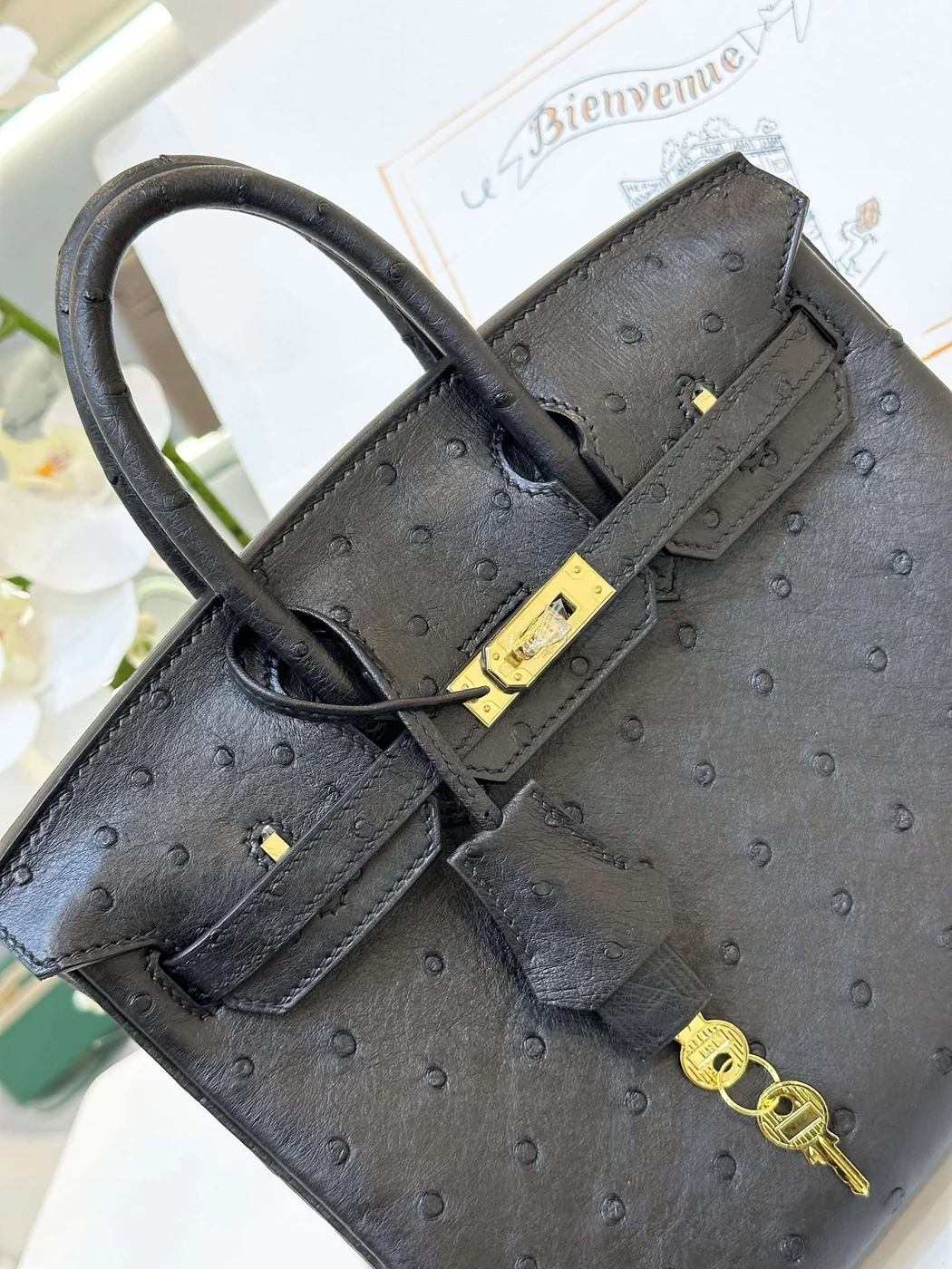 Hermès Birkin 25 Black Ostrich Leather Gold Hardware Bag product view 4