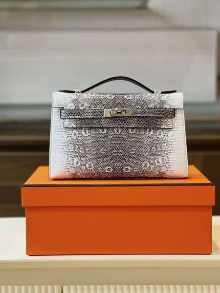 Hermès Constance Omber Lizard Handbags Lizard Skin 22 cm product view 1