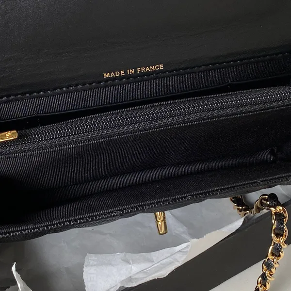 Chanel Woc Charm Handbag Lizard Skin Black With Gold Lock 20 cm product view 4