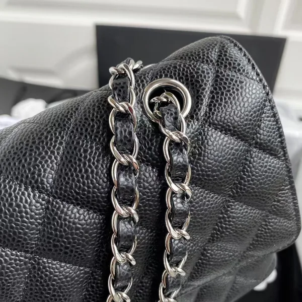 Chanel Classic Handbag Black With Silver Lock 25 cm product view 5