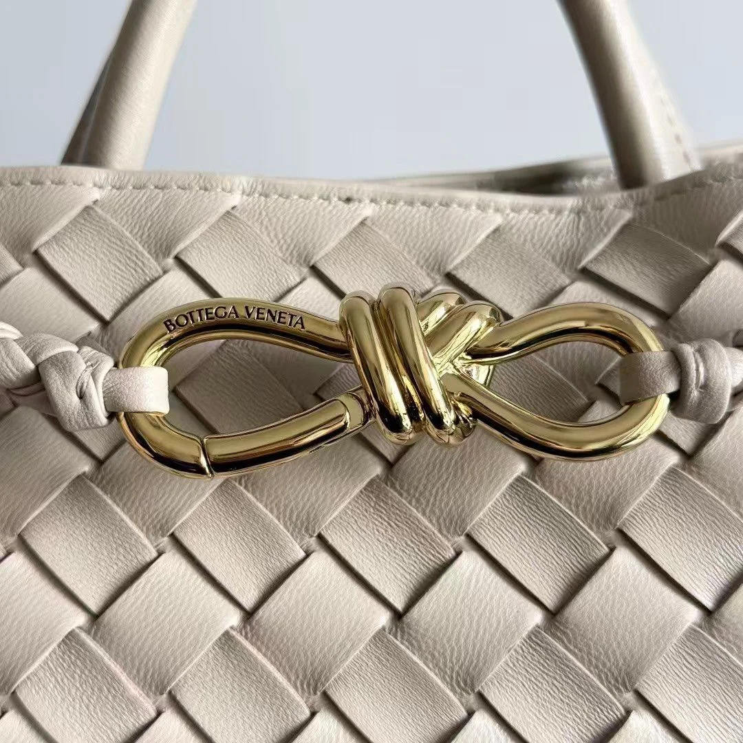 Bottega Veneta Small Andiamo top handle bag i product view 4