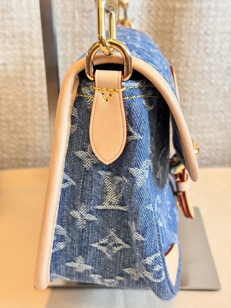 Louis Vuitton Denim Diane Bag product view 5