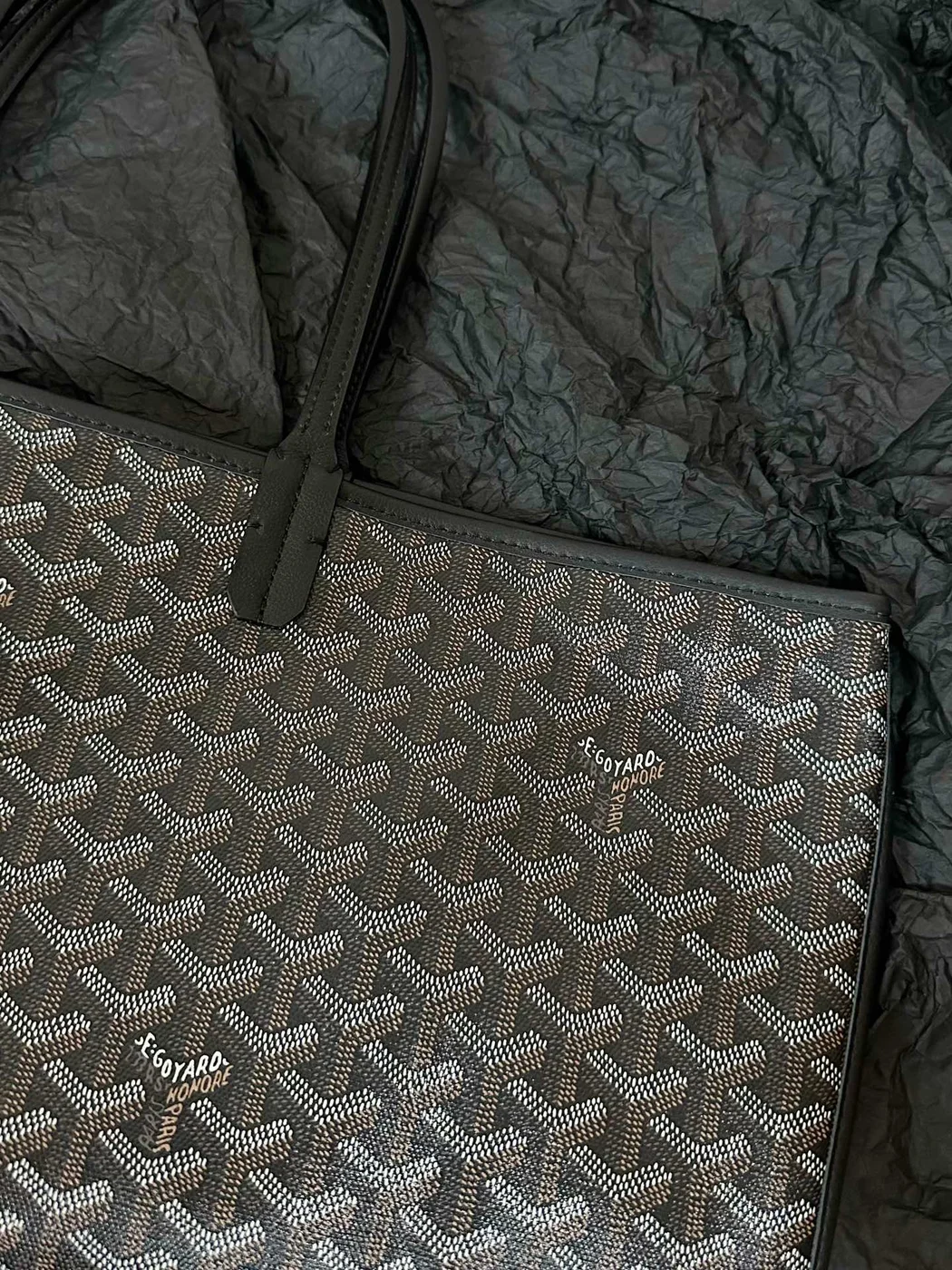 Goyard St Louis PM Tote Bag product view 9