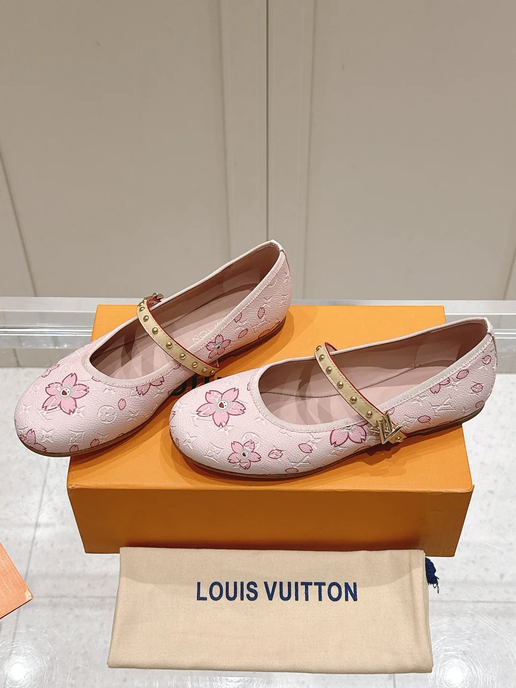 Louis Vuitton Women Pink Patterned Leather Mary Janes product view 5