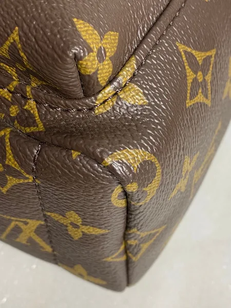 Louis Vuitton Palm Springs Mini backpack in monogram canvas product view 5