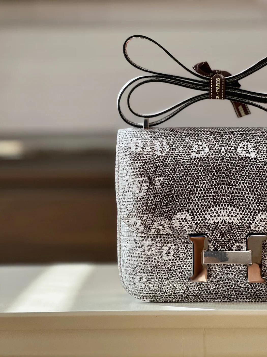 Hermès Constance 19 Omber Lizard Leather Bag product view 6