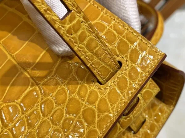 Hermès Kelly bag 25 Sellier Jaune ambre Alligator Crocodile skin Gold hardware product view 8