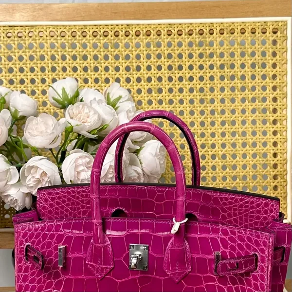 Hermès Birkin 25 cm Crocodile Leather Silver Hardware Bag product view 5