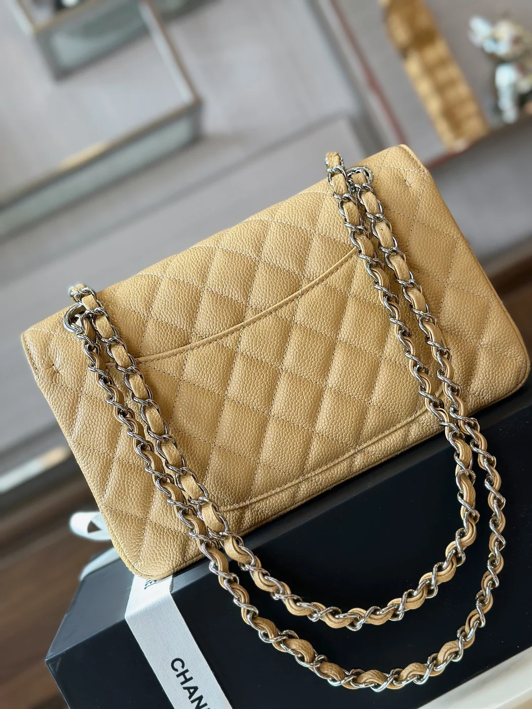 Chanel Classic Handbags Beige Leather With Lizard Skin 23 cm product view 6