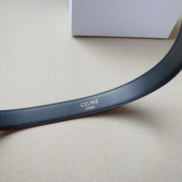 Celine Medium Western Belt 25mm — Black Calfskin with Silver-Tone Hardware product view 4
