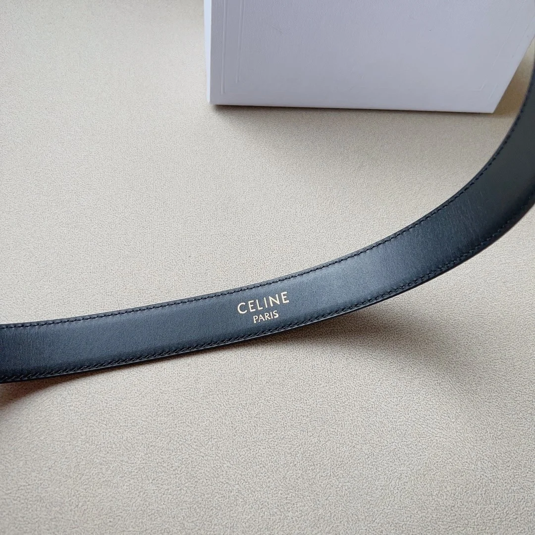 Celine Medium Western Belt 25mm — Black Calfskin with Silver-Tone Hardware product view 4