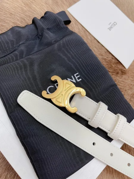 Celine Medium Triomphe Belt 25MM in White Calfskin product view 7
