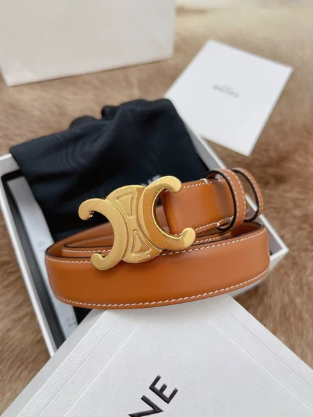 Celine Medium Triomphe Belt 25MM in Brown Calfskin product view 6